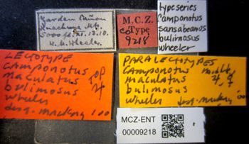 Media type: image;   Entomology 9218 Aspect: labels